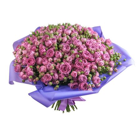 Букет из 51 фиолетовой пионовидной розы 50 см «Мисти бабблс»