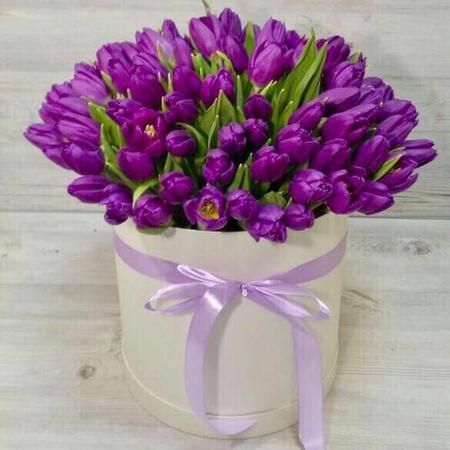 101 фиолетовый тюльпан в белой коробке